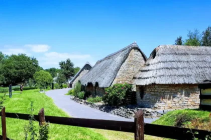 Cosmeston Lakes Day Trip From Cardiff: Nature, Medieval Village and Family Fun