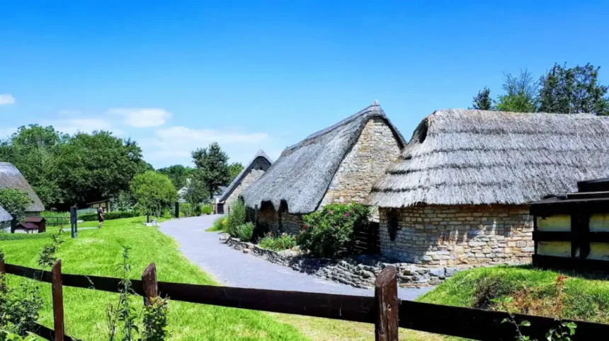 Cosmeston Lakes Day Trip From Cardiff: Nature, Medieval Village and Family Fun