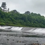 Forest Farm Nature Reserve Cardiff: Visit Guide & Wildlife