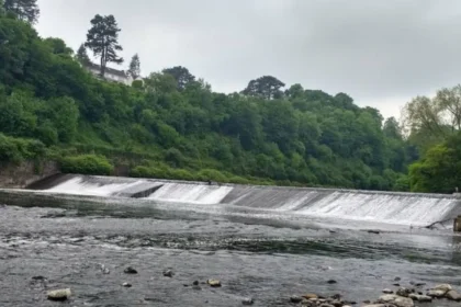 Forest Farm Nature Reserve Cardiff: Visit Guide & Wildlife