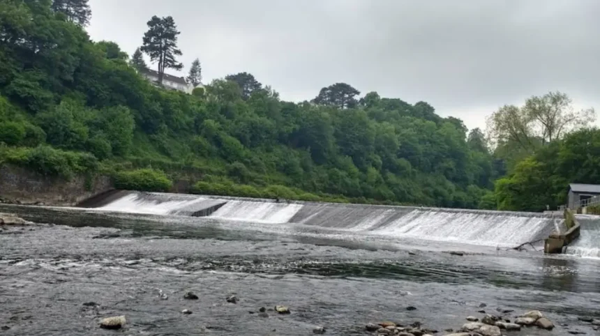 Forest Farm Nature Reserve Cardiff: Visit Guide & Wildlife