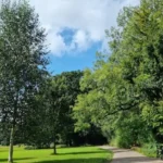 Heath Park Cardiff Visitor Guide: Facilities, Mini Railway, Wildlife, and History