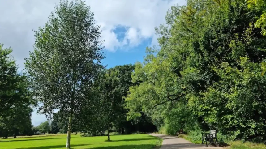 Heath Park Cardiff Visitor Guide: Facilities, Mini Railway, Wildlife, and History