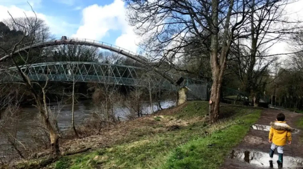 How does Forest Farm Nature Reserve connect to wider Cardiff green space networks?