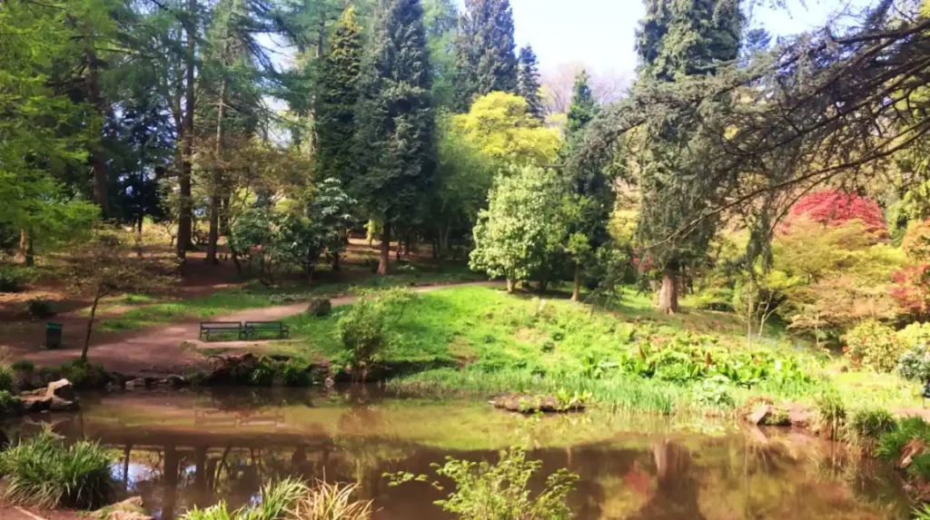 How does Parc Cefn Onn fit into Cardiff’s wider park network?