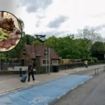 Roos Restaurant Opens in Former Sophia Gardens Bungalow, Cardiff 2026
