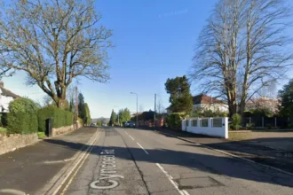 The Complete Cyncoed Road Local Guide: Property, Schools, and Transport