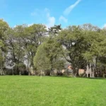 Thompson’s Park Cardiff: Hidden History from Sir David’s Field to Victorian Park