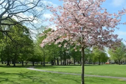 Victoria Park Cardiff Complete Guide: Attractions, Splashpad, Events and History