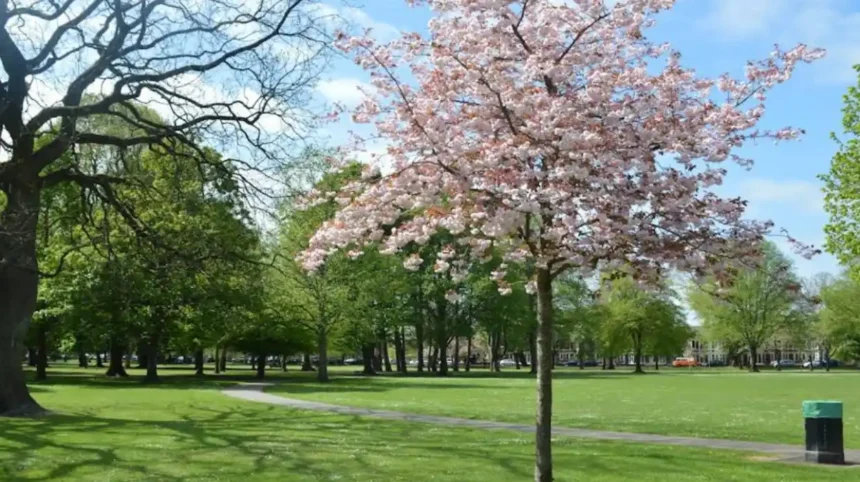 Victoria Park Cardiff Complete Guide: Attractions, Splashpad, Events and History