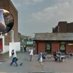 Viral Video Exposes Severe Seagull Swarm in Cathays 2026