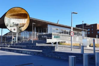 What Do Senedd Members Do During Summer Recess? Cardiff Bay 2026