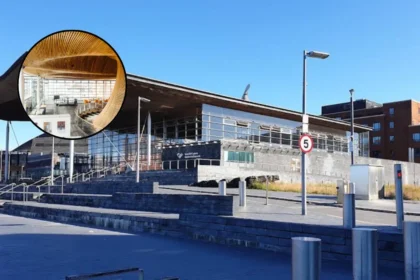 What Do Senedd Members Do During Summer Recess? Cardiff Bay 2026