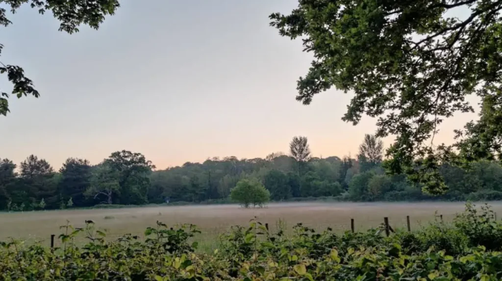 What is Forest Farm Nature Reserve?