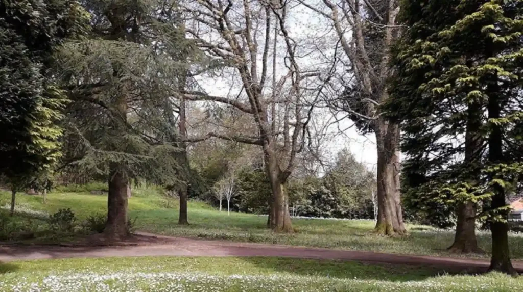 What is Thompson’s Park and where is it in Cardiff?