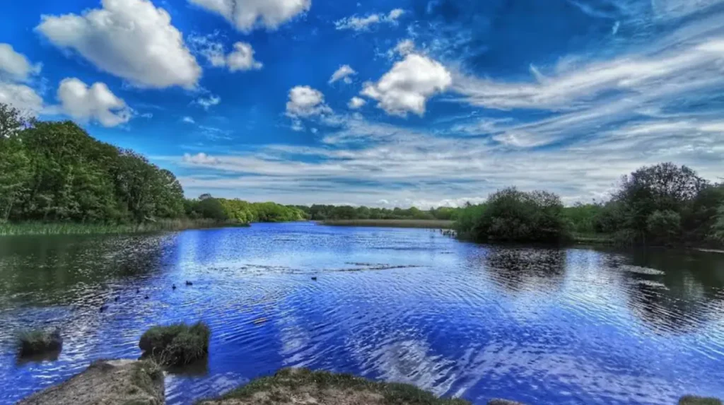 Why should you choose Cosmeston Lakes for a day trip from Cardiff?