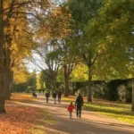 Best Autumn Walks Around Cardiff Parks, Rivers & Trails Cardiff 2026