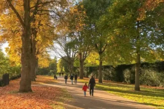 Best Autumn Walks Around Cardiff Parks, Rivers & Trails Cardiff 2026