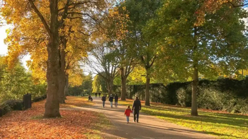 Best Autumn Walks Around Cardiff Parks, Rivers & Trails Cardiff 2026