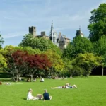 Best Picnic Spots in Cardiff Parks & Gardens 2026