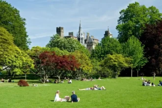 Best Picnic Spots in Cardiff Parks & Gardens 2026
