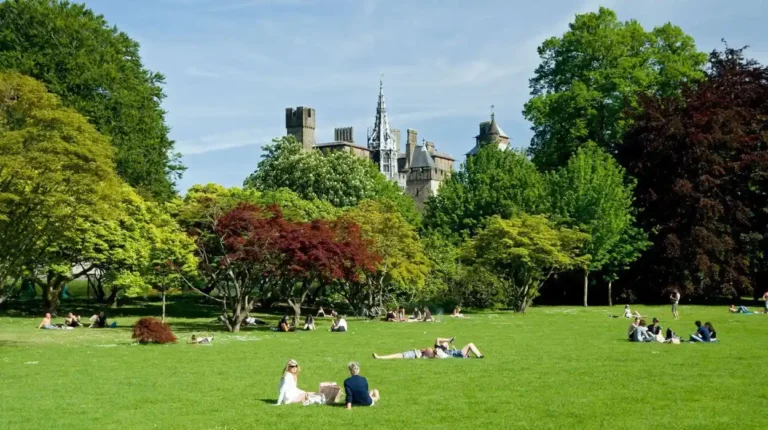 Best Picnic Spots in Cardiff Parks & Gardens 2026
