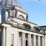 Cardiff Council Approves 33-Storey Co-Living Skyscraper in Cardiff 2026