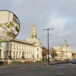 Cardiff Council Plans Leafy Kingsway Public Square Transformation Cardiff 2026