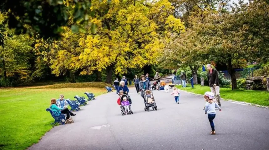 Family Walks Near Heath Park Cardiff Guide 2026