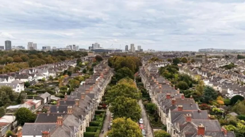 How Pontcanna Got Its Name Cardiff History