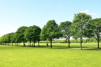 Pontcanna Fields Walk Guide: Taff Trail & Park Cardiff 2026