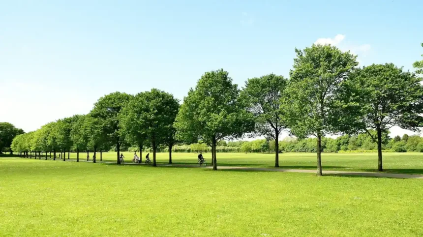 Pontcanna Fields Walk Guide: Taff Trail & Park Cardiff 2026
