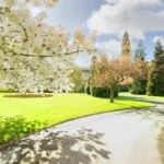 Spring Blossom Walks Best Cardiff Routes 2026