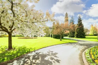 Spring Blossom Walks Best Cardiff Routes 2026
