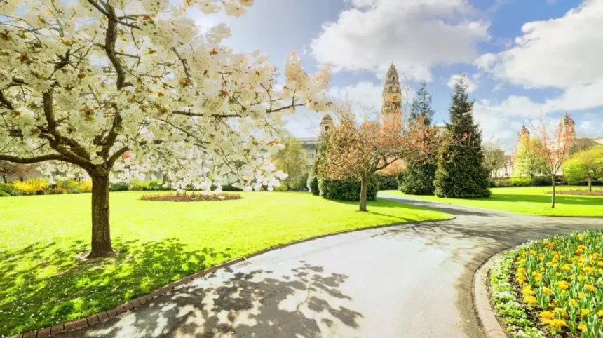 Spring Blossom Walks Best Cardiff Routes 2026