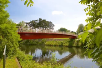 Best Family Picnic Locations in Cardiff 2026