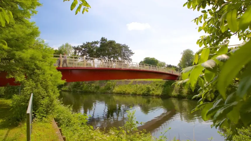 Best Family Picnic Locations in Cardiff 2026