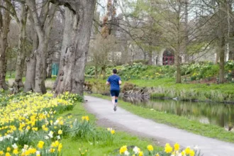 Best Running Routes by Cardiff Area Cardiff 2026