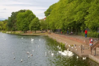 Birds You Can Spot Around Roath Park, Cardiff