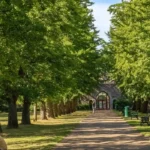Cardiff Areas Popular with Young Couples