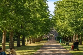 Cardiff Areas Popular with Young Couples