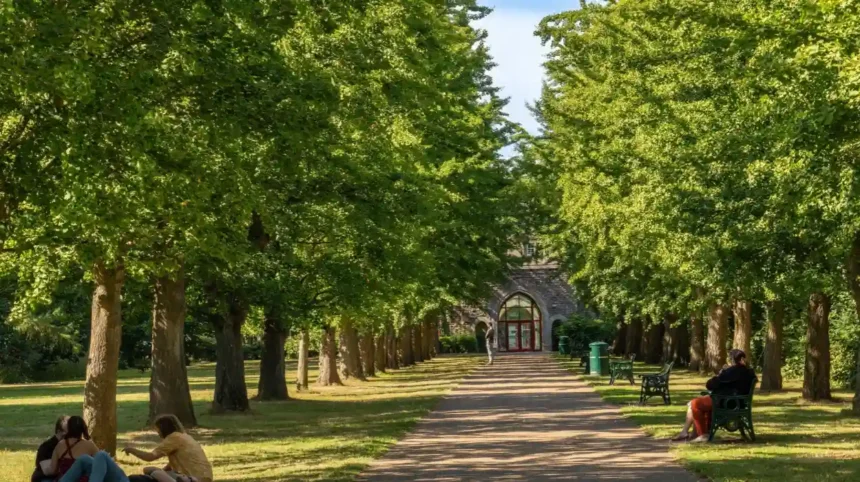 Cardiff Areas Popular with Young Couples
