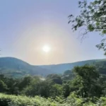 Cardiff Weather Update Sunny Skies Reach 19°C in Cardiff 2026