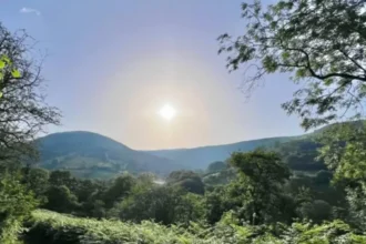 Cardiff Weather Update Sunny Skies Reach 19°C in Cardiff 2026
