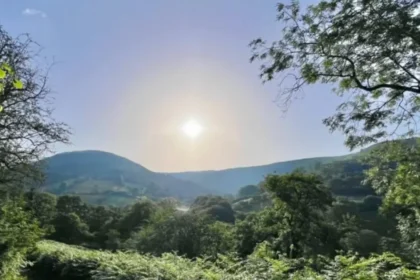 Cardiff Weather Update Sunny Skies Reach 19°C in Cardiff 2026