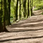 Hidden Nature Reserves Around Cardiff Wildlife, Woods and Wetlands
