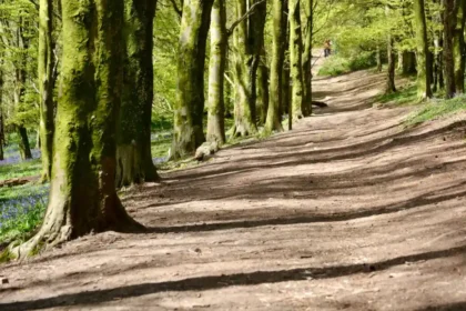 Hidden Nature Reserves Around Cardiff Wildlife, Woods and Wetlands
