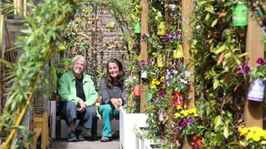Pollinator Projects Across Cardiff_ Bees, Wildflowers and Nature Recovery