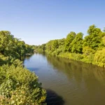 River Taff Wildlife Animals and Birds in Cardiff