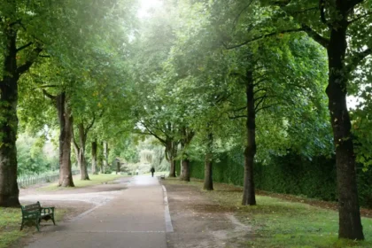Seasonal Nature Walks Around Cardiff_ Best Year-Round Routes